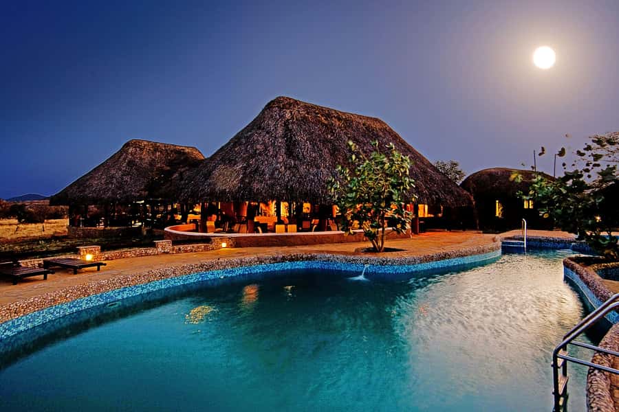 2 Days 1 Night Amboseli Safari - Key points to know before you book