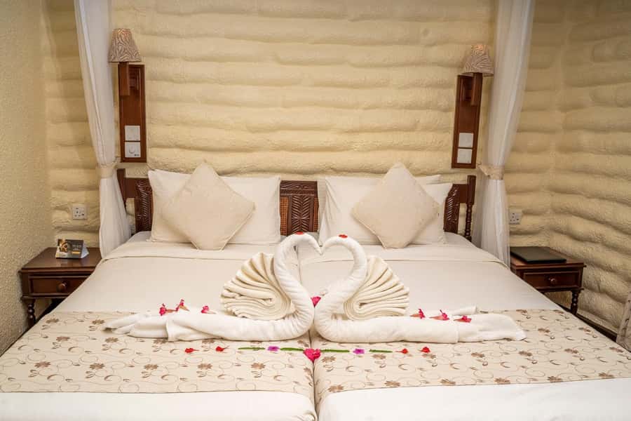 2 days 1 night saltlick safari from Diani/Mombasa - Evening wildlife viewing until sunset
