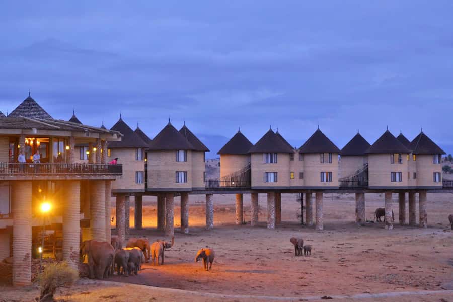 2 days 1 night saltlick safari from Diani/Mombasa - The guide can shape the whole experience
