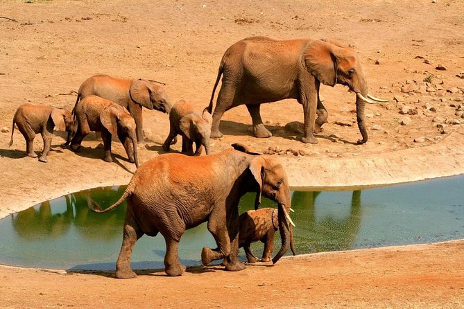 2 Days (1 night); Tsavo East & Saltlick Safari: - Key points at a glance
