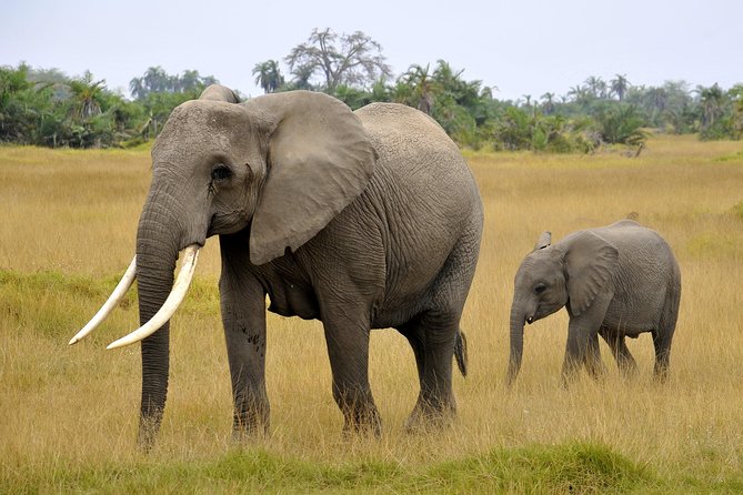 2 Days Amboseli Getaway Trip - The viewpoint over Amboseli