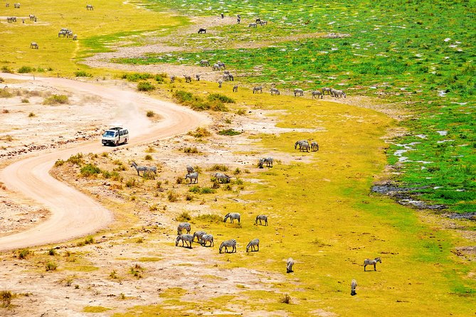 2 Days Amboseli Getaway Trip - A practical look at the guides