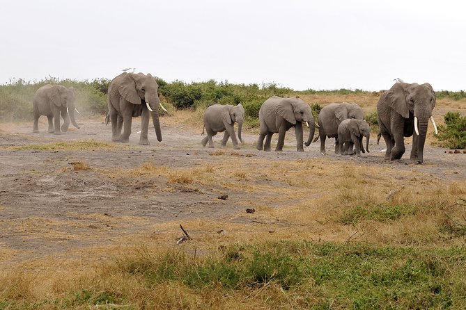 2 Days Amboseli Getaway Trip - What the $385 price really covers