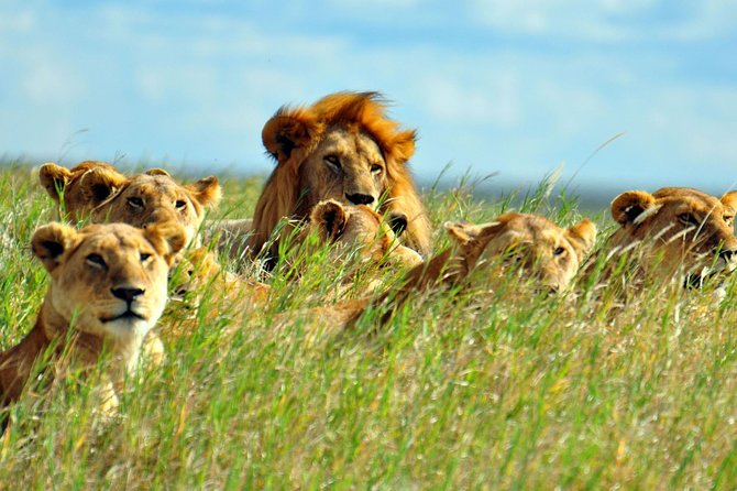 2 Days Amboseli National Park Safari - From Nairobi to Amboseli on day one
