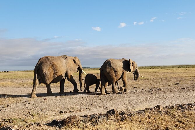 2 Days Amboseli Park Overnight Private Safari - Leaving Nairobi and reaching the park