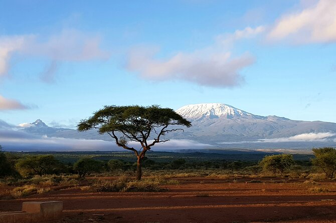 2 Days Amboseli Park Overnight Private Safari - Practical details that affect your decision