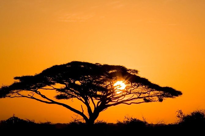 2 Days Amboseli Private Safari - Your first Amboseli game drive