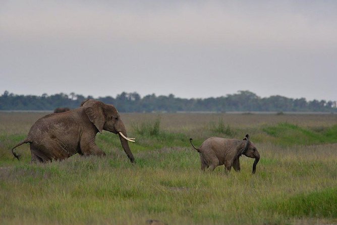 2 Days Amboseli Private Safari - Meals, lodging, and what the price covers