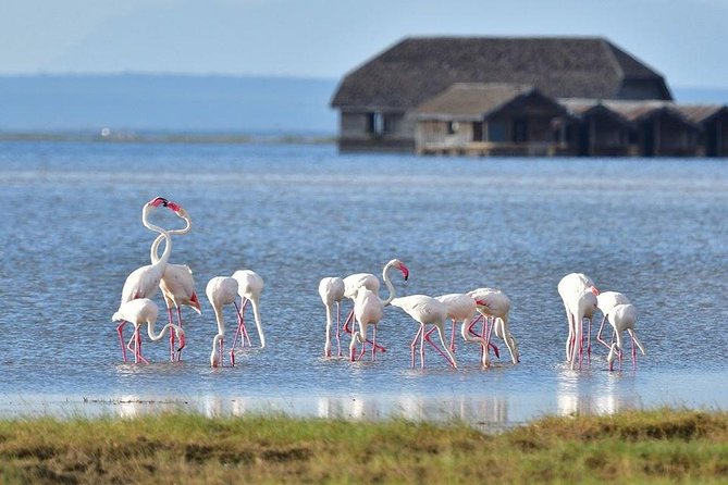 2 Days Amboseli Private Safari - The 6:00 am departure from Nairobi