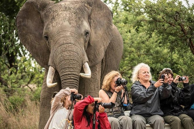 2 Days Amboseli Safari Adventure from Nairobi Classic Game Drives - Why Amboseli works so well for a two-day safari