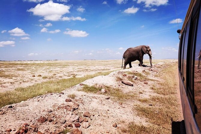 2 Days Amboseli Safari Adventure from Nairobi Classic Game Drives - What to confirm with Safarilinks Africa Limited