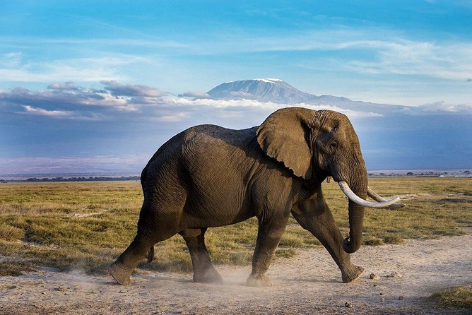 2 days group safari to Amboseli National park (Mon-Wed-Sat only) - What the $200 price really covers