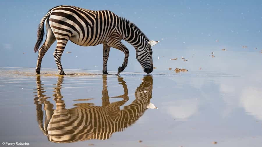 2 Days Group tour to Amboseli Using Landcruiser 4x4 Jeep - The 7:30 departure from Nairobi