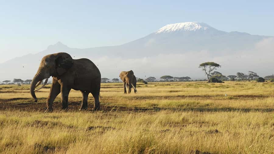 2 Days Group tour to Amboseli Using Landcruiser 4x4 Jeep - The road to Amboseli through Maasai country