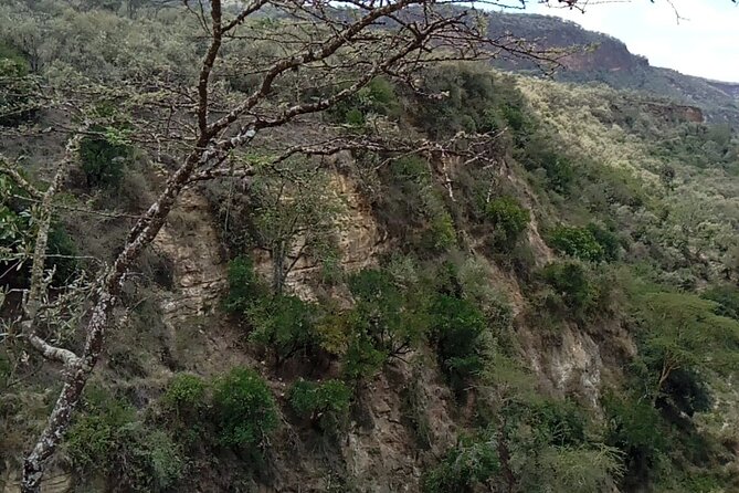 2 Days Private Tour to Lake Nakuru and Hell's Gate Park - Two hours on a bicycle inside Hells Gate