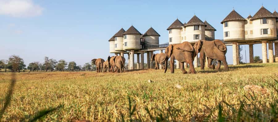 2 days Tsavo East and saltlick safari from Diani/Mombasa - Key points to know before booking