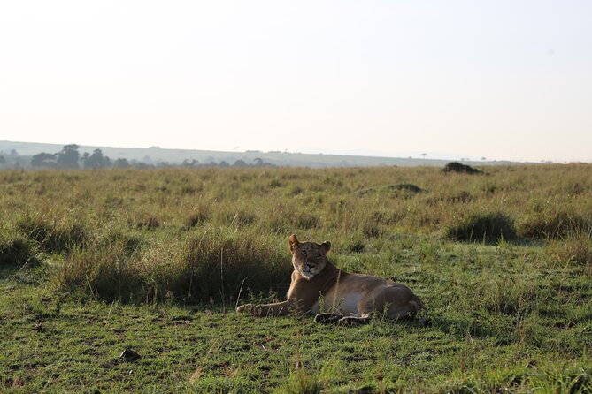2 Days Tsavo East National Park Tour From Mombasa/Diani (1 Night) - The first game drive begins on the way to the lodge