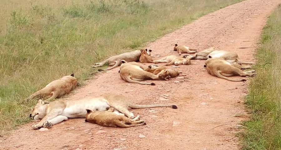 2-Days Wildlife Safari to Tsavo East & Tsavo West Park - What the $438 price really covers