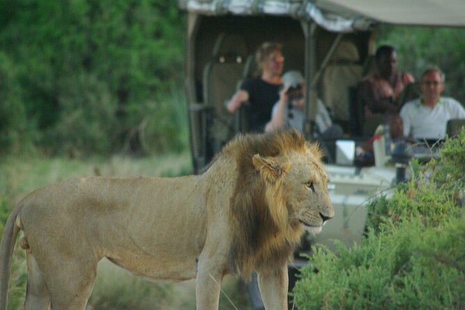 2 nights 3 days Masai Mara safari package - Why three days is a sensible length for the Mara