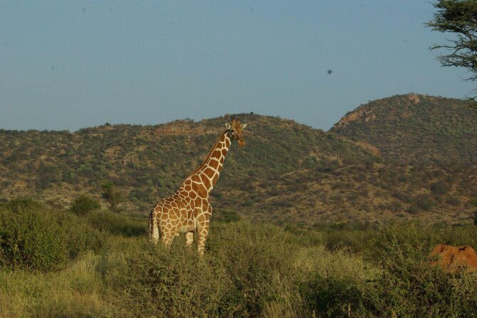 2 nights 3 days Masai Mara safari package - Private travel, budget pricing, and what to confirm