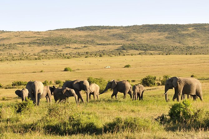 3 Day 2 Nights Maasai Mara Safari - Why three days works well in Maasai Mara
