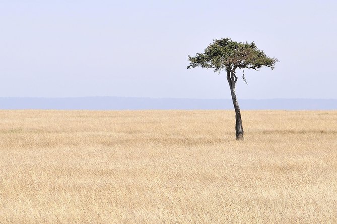3 Day 2 Nights Maasai Mara Safari - Leaving Nairobi at 7:00 am