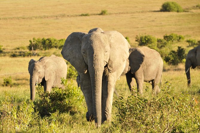 3 Day 2 Nights Maasai Mara Safari - Day one: Rift Valley views and an afternoon game drive
