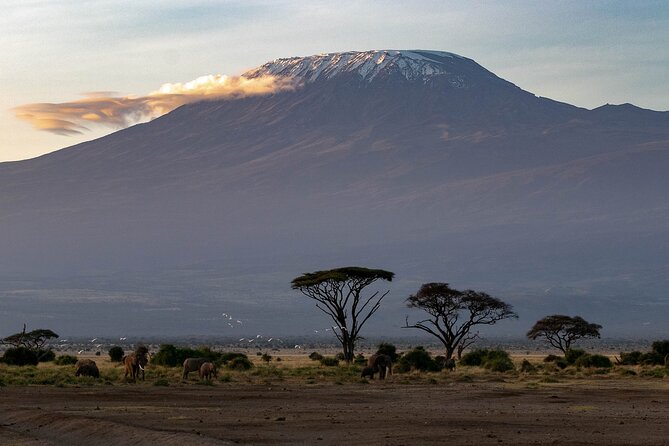 3-Day Amboseli Safari from Nairobi - Practical details that shape the experience