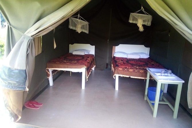 3-DAY Best Maasai Mara Safari (POPULAR) - Why three days works better than a rushed Mara visit