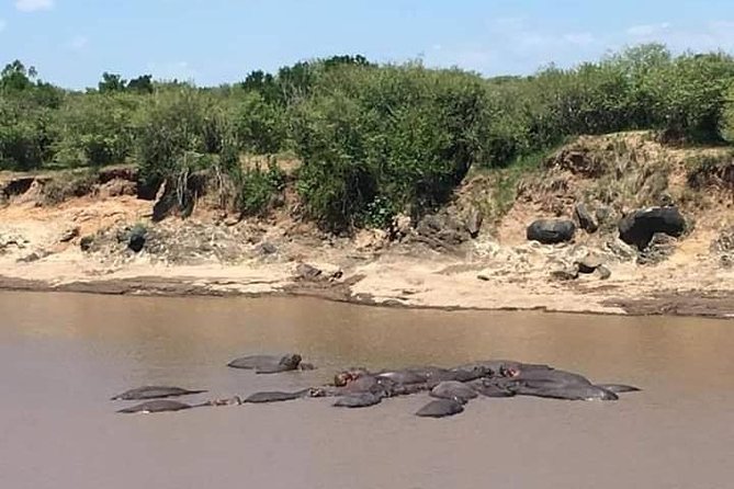 3-DAY Best Maasai Mara Safari (POPULAR) - Who should book this Maasai Mara safari?
