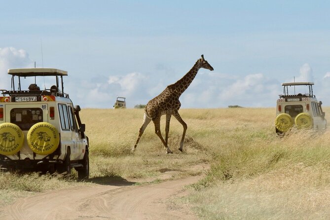 3-Day Budget Maasai Mara Joining Safari with 4x4 LandCruiser Jeep - What the $210 safari price really covers