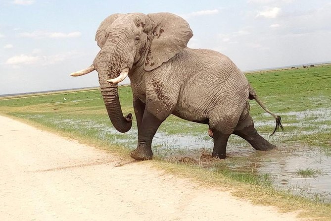 3-day Budget Safari To Maasai Mara - Key points to know before booking
