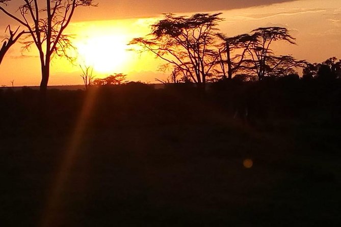 3-day Budget Safari To Maasai Mara - What $375 buys you in Maasai Mara
