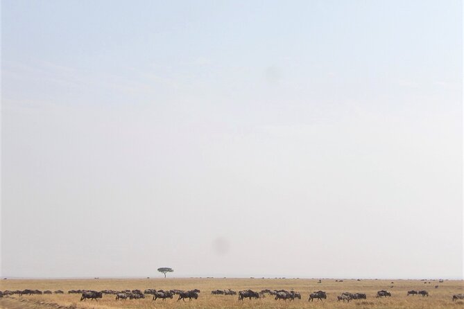 3 Day Exploring Amboseli National Park - Why Amboseli makes such a strong first safari