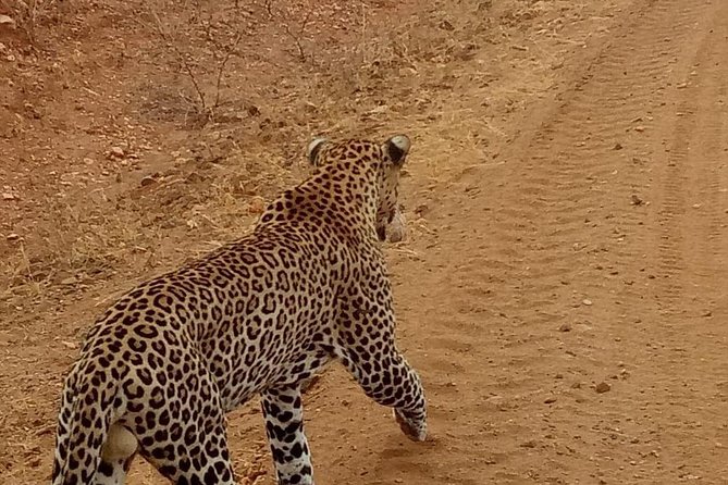 3 day maasai mara budget Camping Group safari - The full-day drive on day two