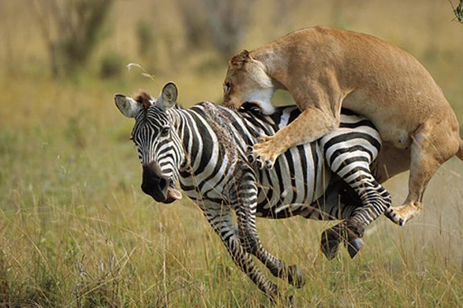 3 Day Maasai Mara Group Joining Camping Safari - Daily Departures - Leaving Nairobi for the Great Rift Valley viewpoint