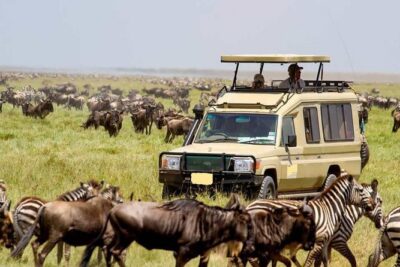 3 Day Maasai Mara Group Joining Camping Safari – Daily Departures