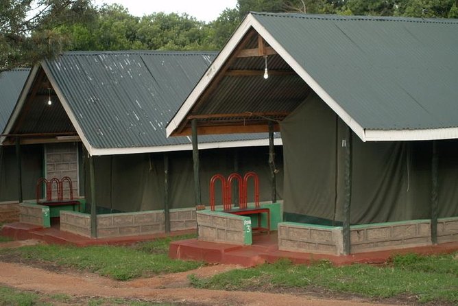 3 Day Maasai Mara Group Joining Camping Safari - Daily Departures - What the guide and group size mean in practice