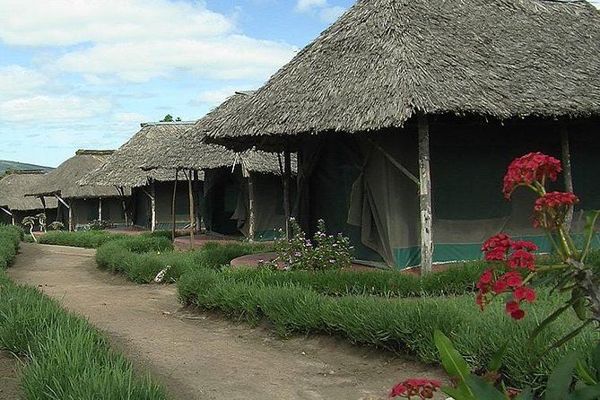 3 Day Maasai Mara Group Joining Camping Safari - Daily Departures - The strongest reasons to choose this safari