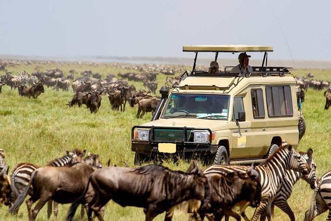 3 Day Maasai Mara Group Joining Camping Safari - Daily Departures - First afternoon among the Mara plains