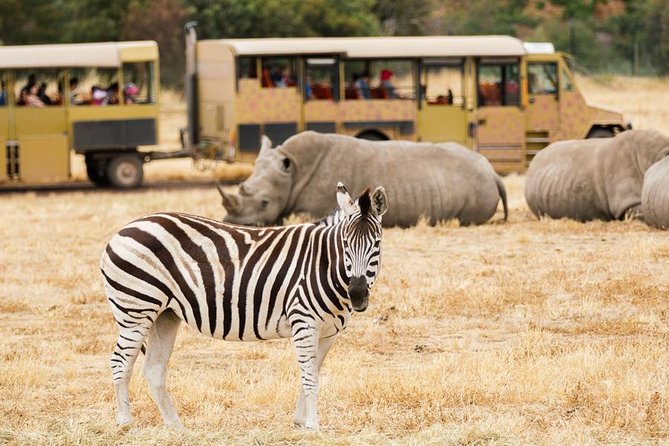3-Day Maasai Mara Guided Safari From Nairobi - The Maasai village option and what it adds