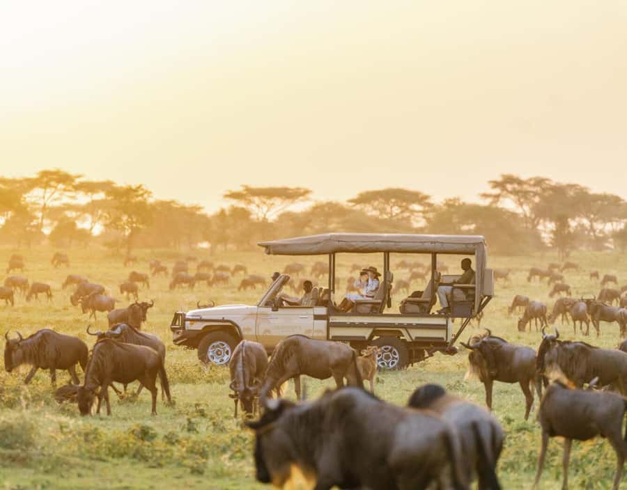3-Day Maasai Mara Joining Safari at Enkorok Luxury Camp - Day 1: Nairobi, the Rift Valley, and the first game drive