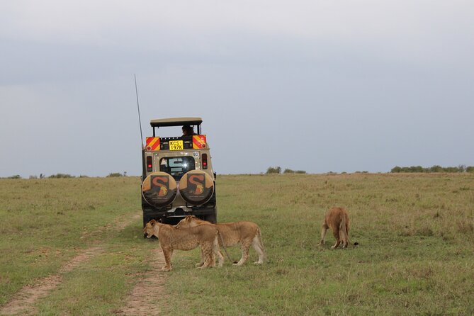 3-Day Maasai Mara Sharing Safari in a 4x4 Land Cruiser Jeep - What this $244 Maasai Mara safari really offers