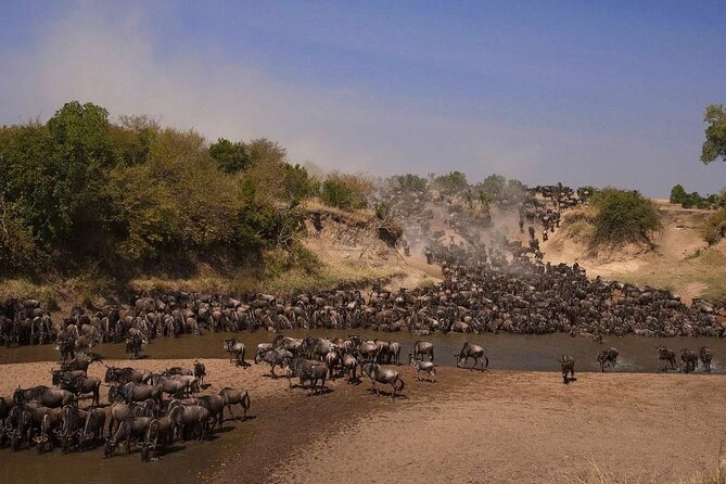 3-Day Masai Mara Group Safari with Pick Up - Nairobi to the Mara through the Great Rift Valley