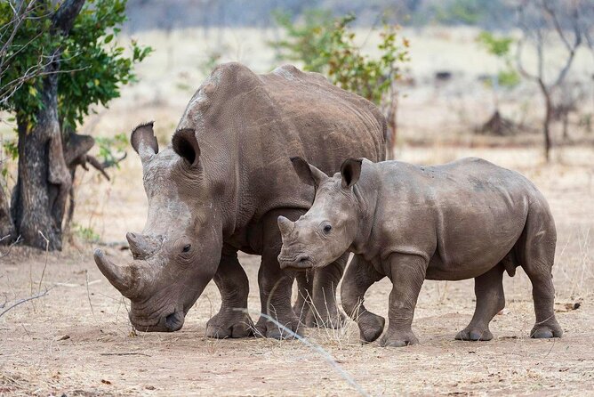 3-Day Masai Mara Group Safari with Pick Up - A full day at the Mara River and beyond
