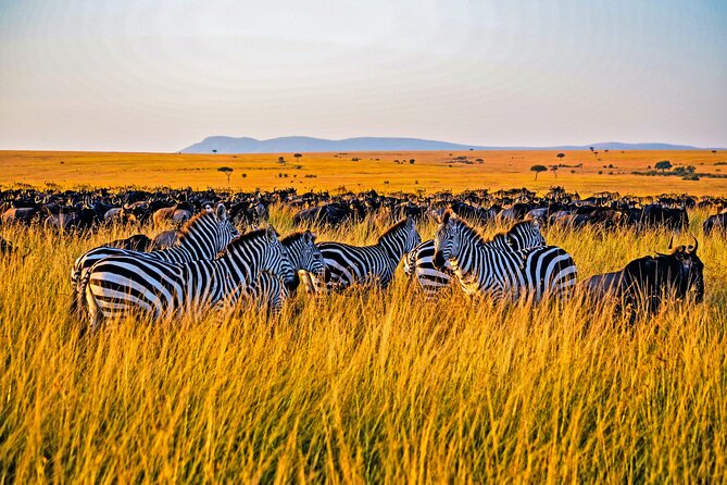 3-Day Masai Mara Jeep Safari - Why this three-day Masai Mara plan works