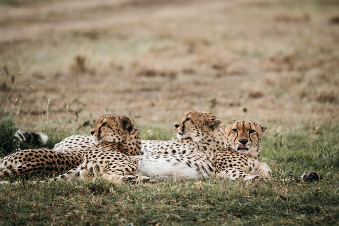 3-Day Masai Mara Luxury Safari - What is not included
