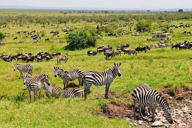 3-Day Masai Mara Safari Tour - The optional balloon ride at $450