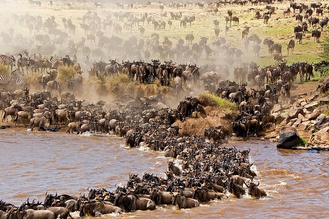 3-day Masai Mara Safari Tour to see the big five and wildebeest migration - Why three days can work in Maasai Mara