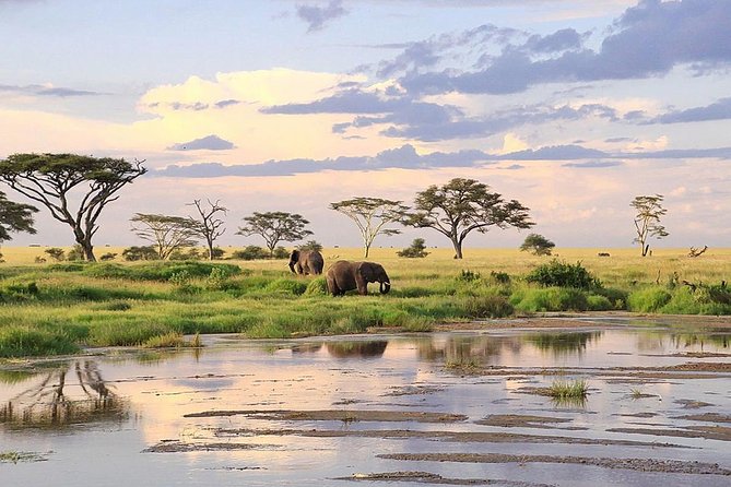 3-day Masai Mara Safari Tour to see the big five and wildebeest migration - Day two around the Mara River